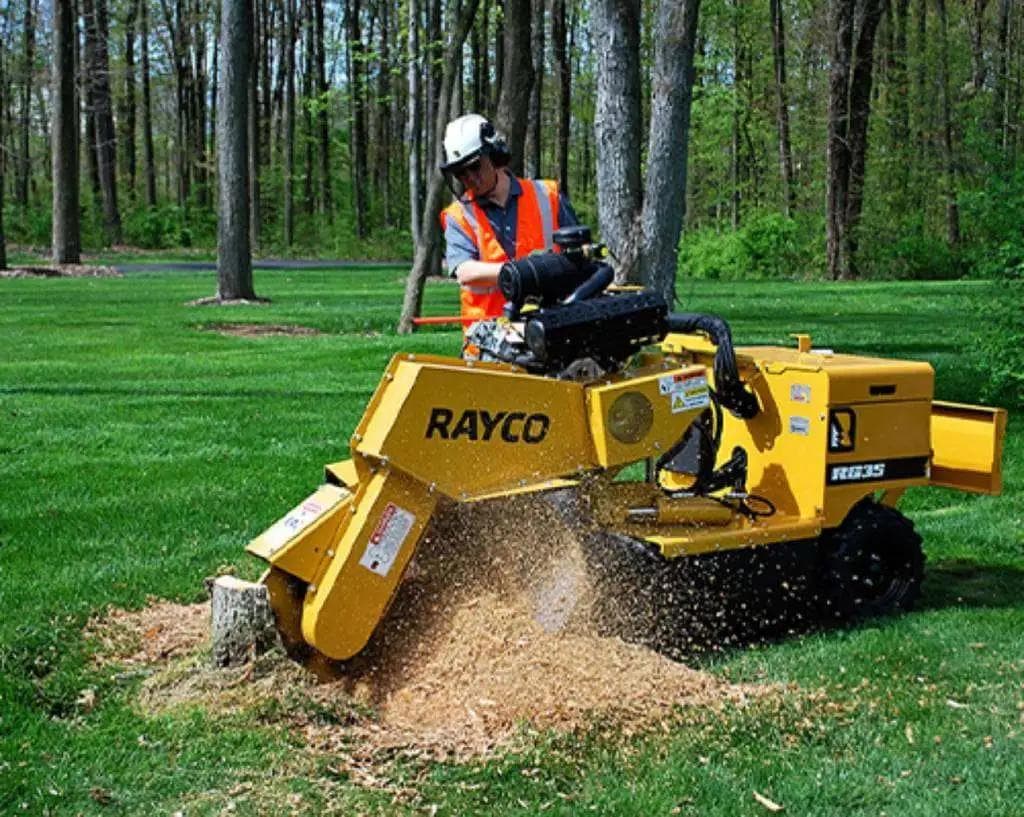 Professional arborist operating yellow Rayco stump grinder to remove tree stump in grassy area with trees in background
